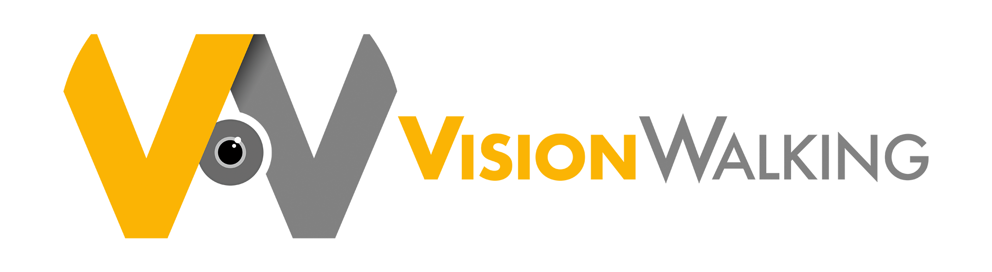 Vision Walking